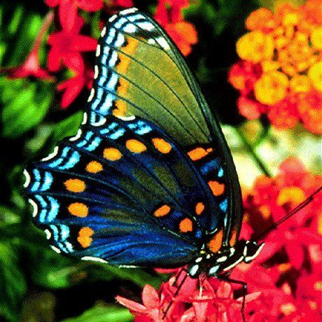 Terreno Código 19120